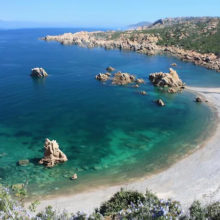 Rosmarino Bianco קוסטה פרדיסו