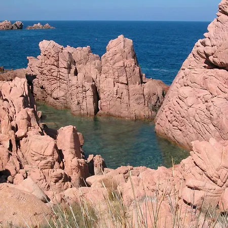 Rosmarino Bianco קוסטה פרדיסו